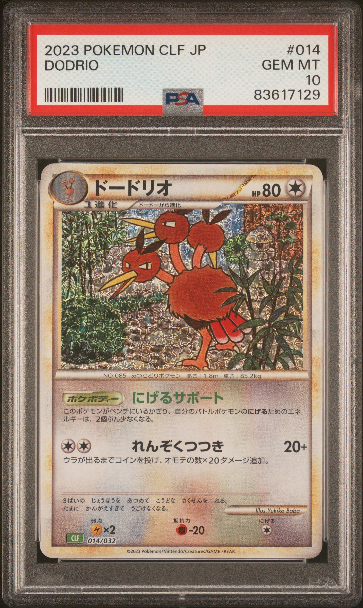 Graded Doduo (013/032) & Dodrio (014/032) Holofoil Pokémon Card Combo - Japanese - PSA 10 - GEM MT